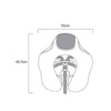 Non-Inflatable Baby Chest Floats with Canopy